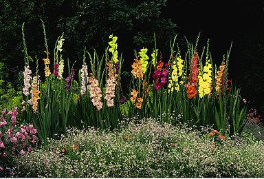 《异星探险家》确定2022年1月13日登陆PS4＆Switch平台